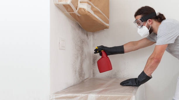 Professional Mold Removal technician working in Warfield, VA
