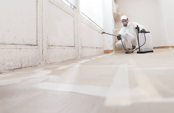24/7 Emergency Mold Removal experts in Warfield, VA