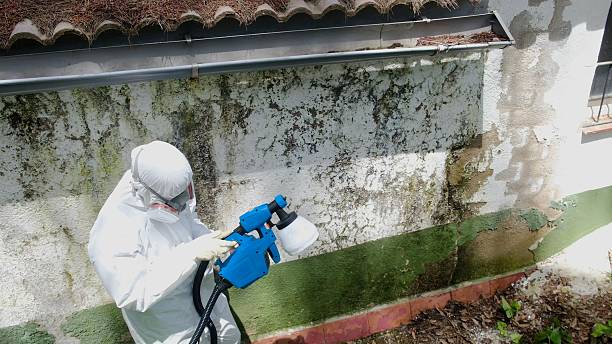 Top rated local Mold Removal specialists in Warfield, VA